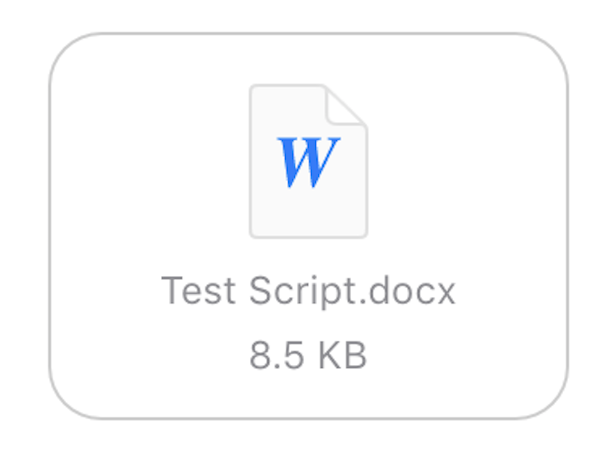 Word document icon with text "Test Script.docx"